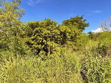 Residential Land