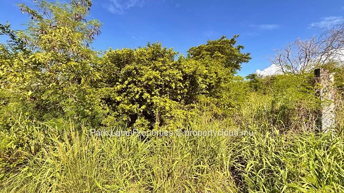 For Sale – 4,206 m² Residential Land in Petit Raffray