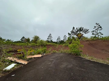 Agricultural Land