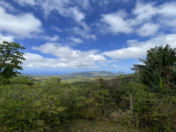 Residential Land