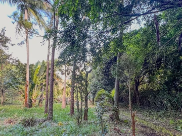Residential Land