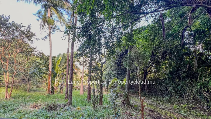 Prime development site in Floreal – 4,083 m² with dual access