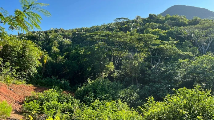 Agricultural plot for sale in Chamarel