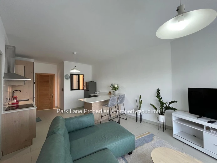 Modern One-Bedroom Apartment for Rent at Telfair Views, Moka