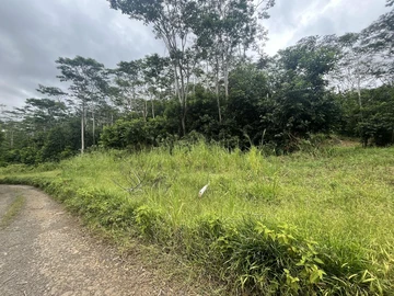Agricultural Land
