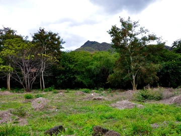 Residential Land
