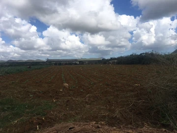 Agricultural Land