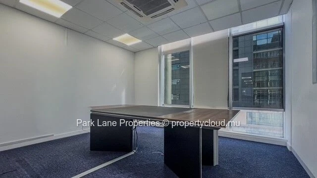 Espace Professionnel d’Exception à Ebene : Flexibilité et Modernité !