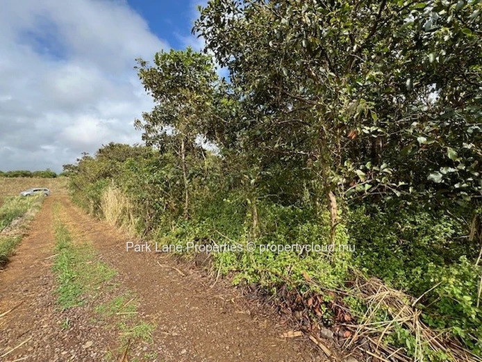 Potentiel de Transformation : Terres Agricoles de Trianon Près de l'Autoroute vers Verdun