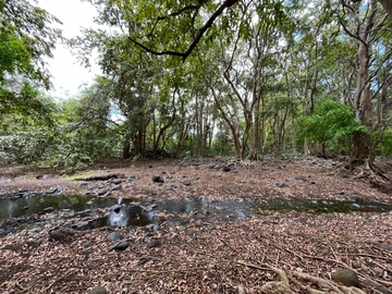 Commercial Land