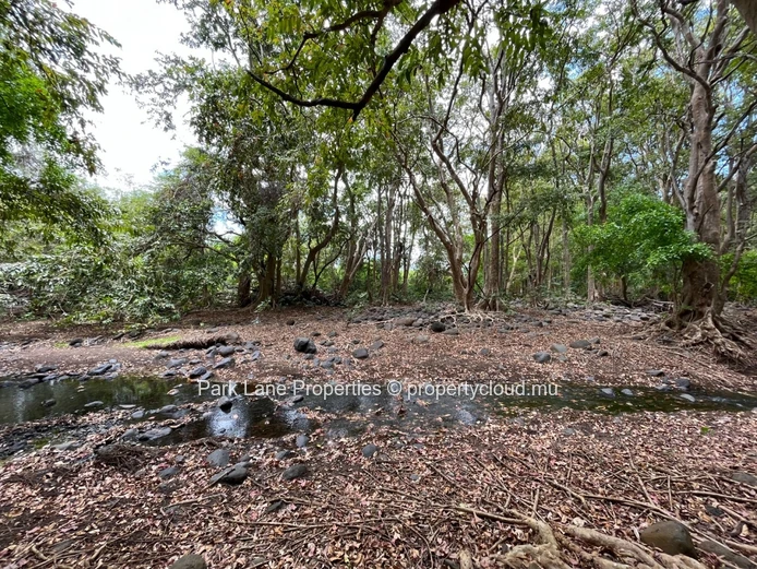 Paradis en bord de rivière à Black River - Une opportunité rare