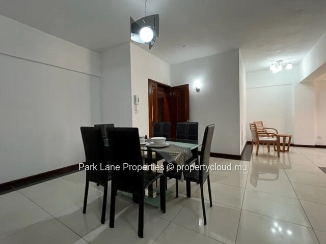 Modern penthouse in Vieux Quatre Bornes - large terrace and parking