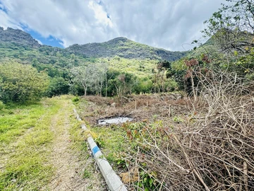 Agricultural Land