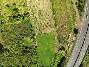 Agricultural Land