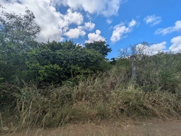 Residential Land