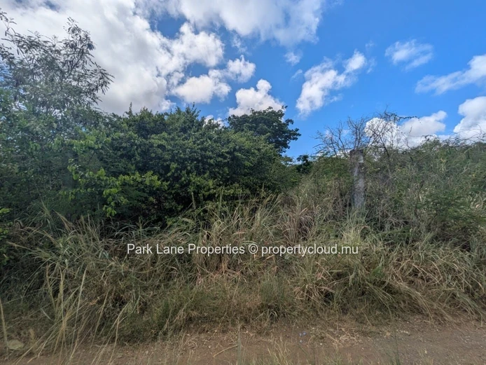 For Sale – 4,206 m² Residential Land in Petit Raffray