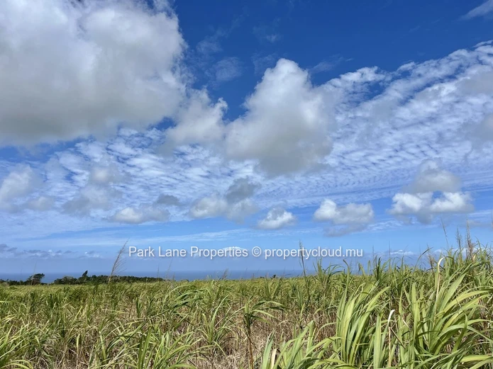 Terrain Agricole à Vendre à Chamouny, Île Maurice – 20,80 Arpents