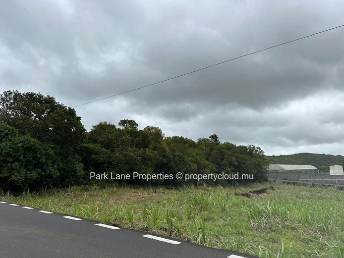 Terrain agricole avec possibilité de conversion à vendre – Salazie