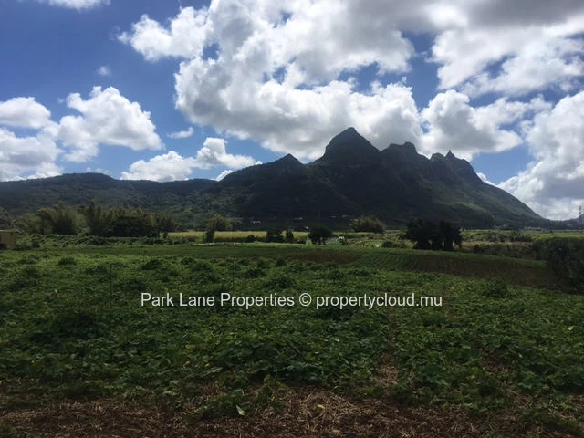 Excellente opportunité d’investissement à Saint Pierre – Terrain agricole de 6 arpents