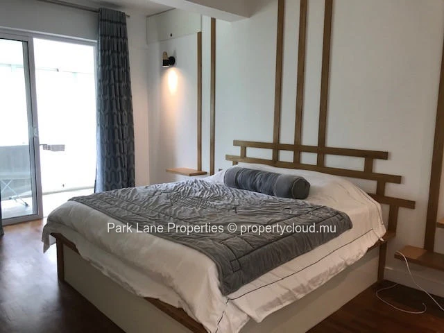 Stylish renovated apartment with terrace in Floreal 