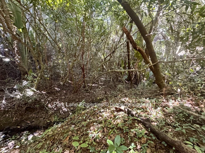Agricultural plot for sale in Chamarel