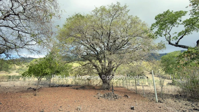 Prime Corner Land with Open & Mountain Views in Domaine de Palmyre