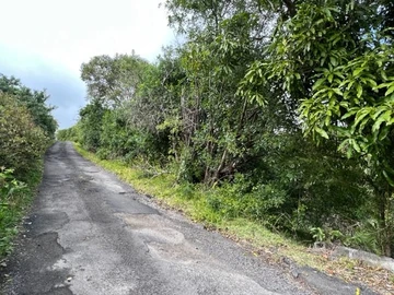 Agricultural Land