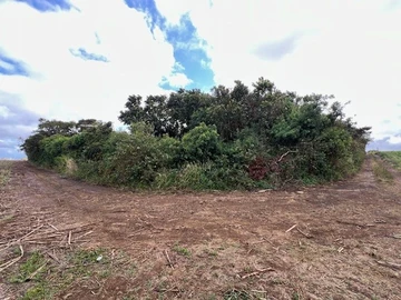 Agricultural Land
