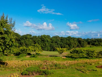 Residential Land