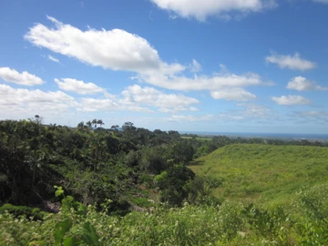 Residential Land