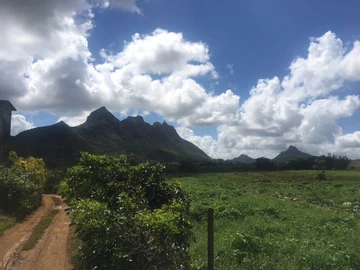 Agricultural Land