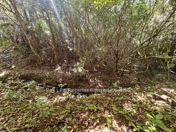 Agricultural plot for sale in Chamarel
