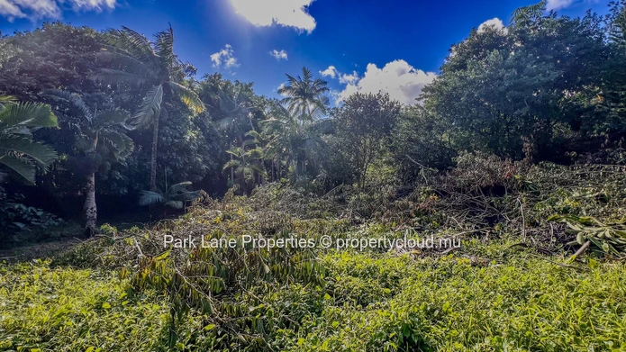 Prime development site in Floreal – 4,083 m² with dual access