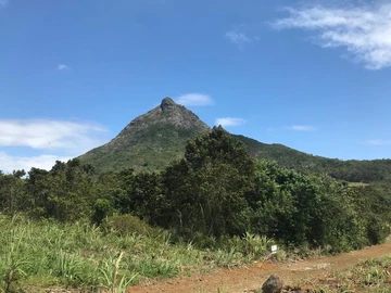 Agricultural Land