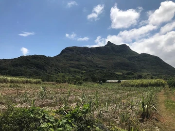 Agricultural Land