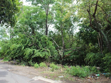 Residential Land