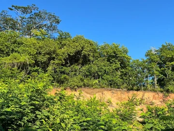 Agricultural Land