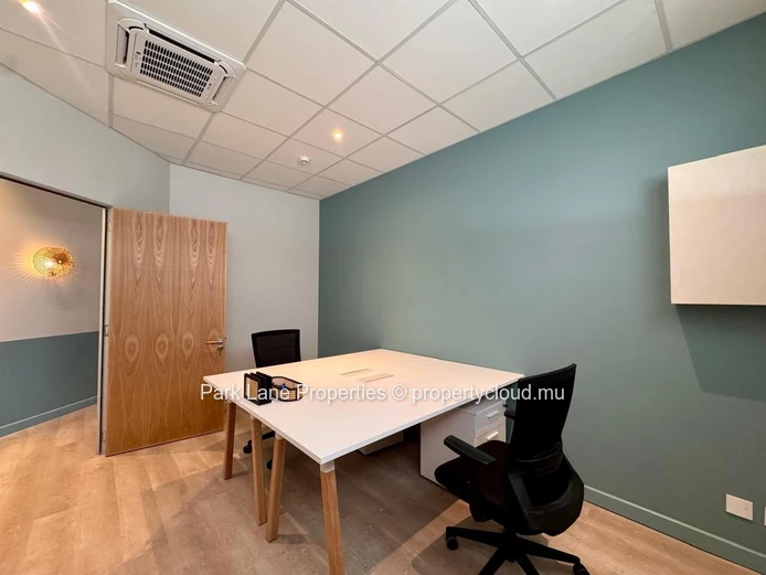 Espaces bureau modernes avec vue montagne