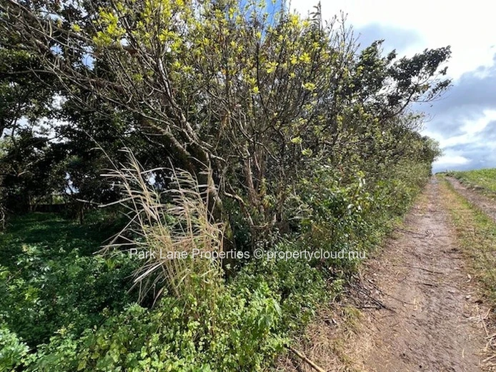 Potentiel de Transformation : Terres Agricoles de Trianon Près de l'Autoroute vers Verdun