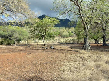 Residential Land