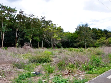 Residential Land