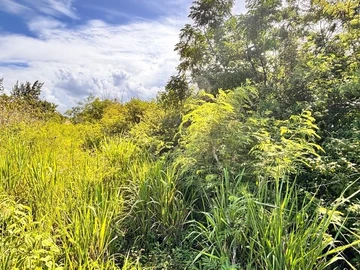 Residential Land