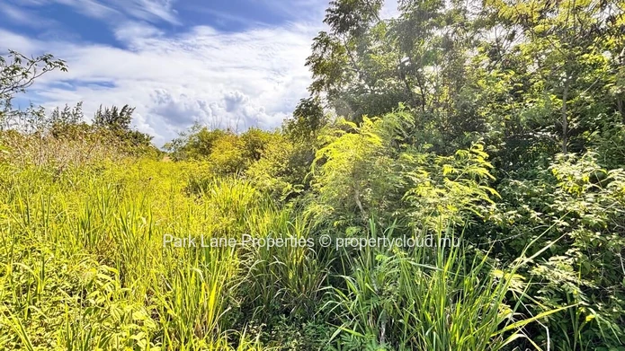 For Sale – 4,206 m² Residential Land in Petit Raffray