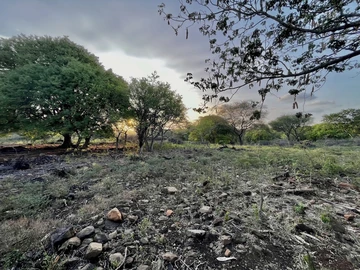 Residential Land