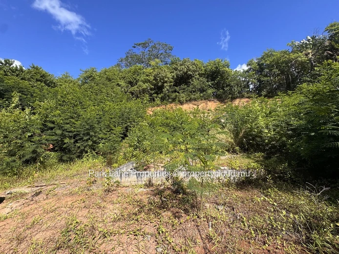 Agricultural plot for sale in Chamarel
