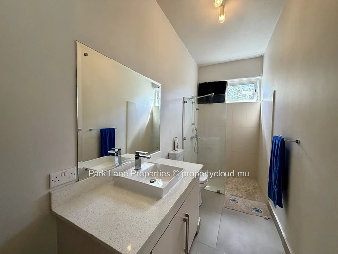 Modern house and equipped