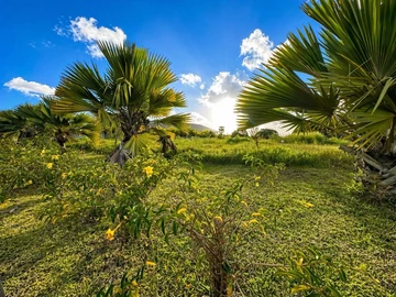 Residential Land