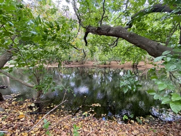 Residential Land