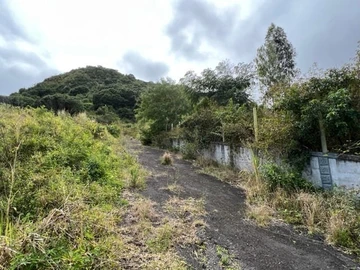 Agricultural Land