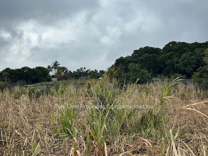 Potentiel de Transformation : Terres Agricoles de Trianon Près de l'Autoroute vers Verdun